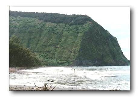 Beach4.jpg (31392 bytes)